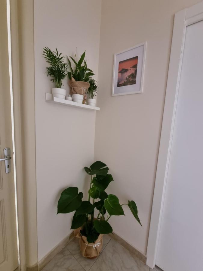 Etna Ocean Rooms Katania Zewnętrze zdjęcie