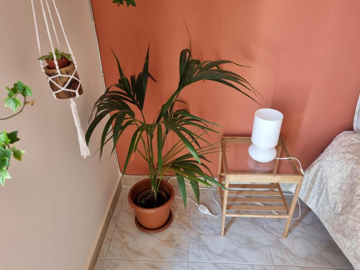 Etna Ocean Rooms Katania Zewnętrze zdjęcie